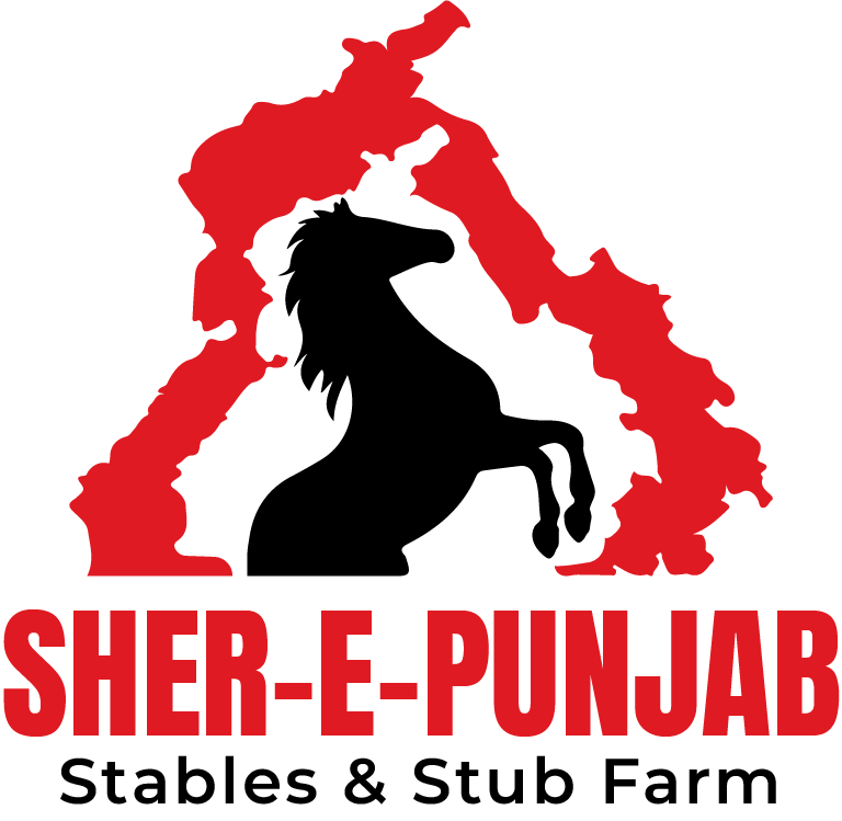 Sher-e-Punjab logo, full color